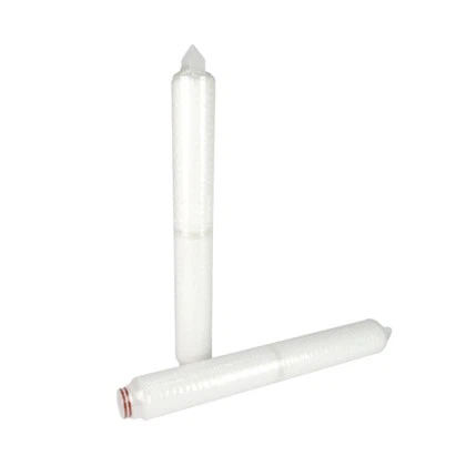 Eilimint Scagaire Phleite PP 0.22μm